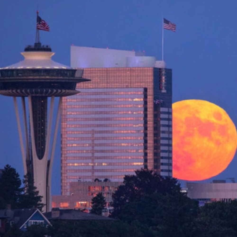 Meet your Posher, Dawn